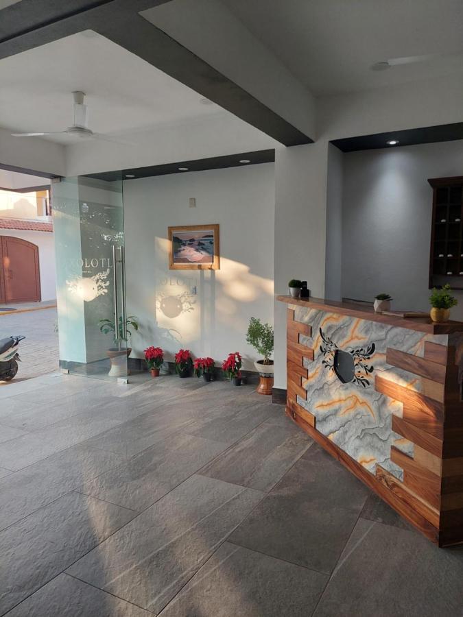 Hotel Axolotl بويرتو إسكونديدو المظهر الخارجي الصورة