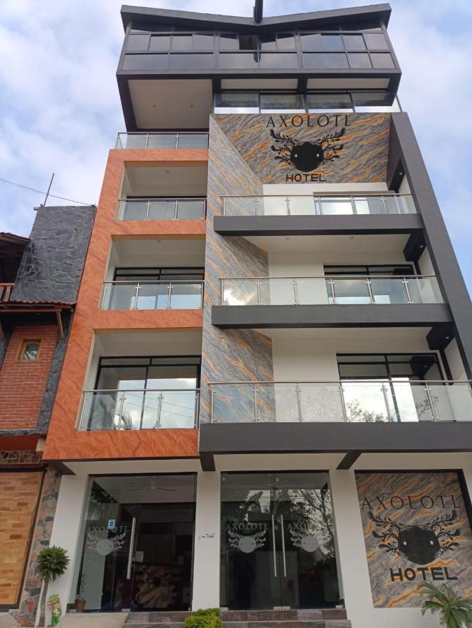 Hotel Axolotl بويرتو إسكونديدو المظهر الخارجي الصورة