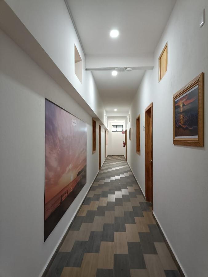 Hotel Axolotl بويرتو إسكونديدو المظهر الخارجي الصورة
