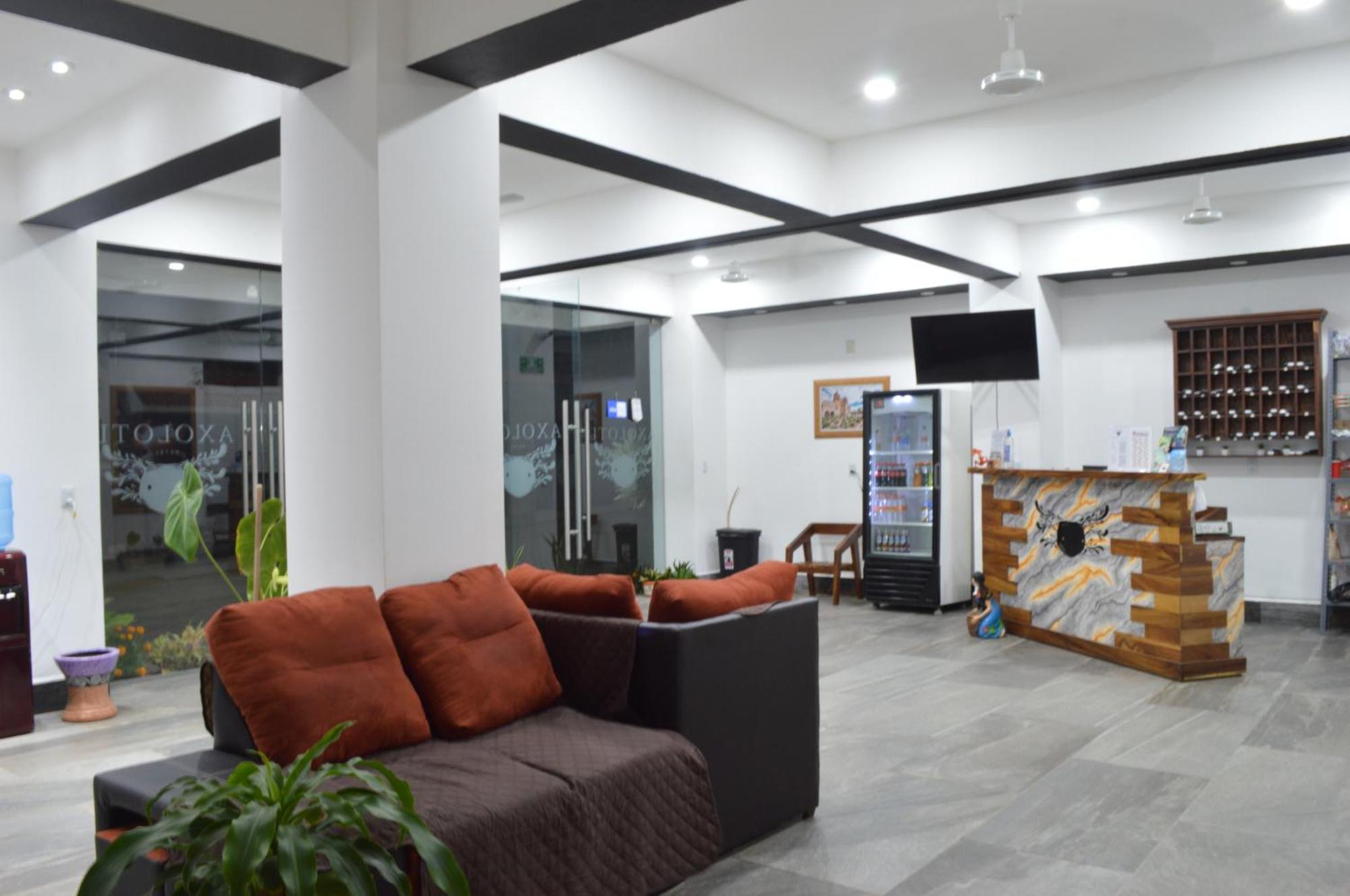 Hotel Axolotl بويرتو إسكونديدو المظهر الخارجي الصورة