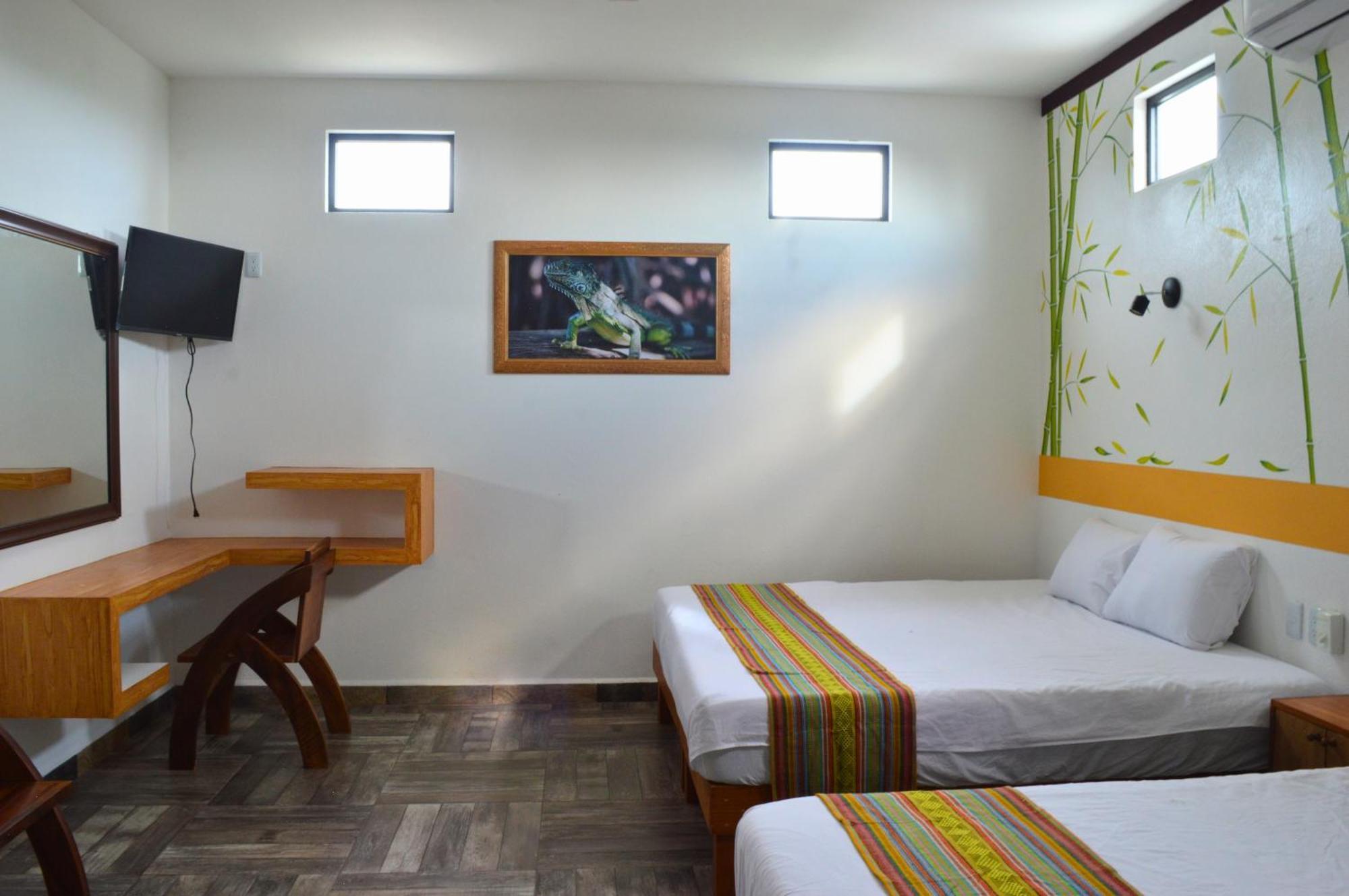 Hotel Axolotl بويرتو إسكونديدو المظهر الخارجي الصورة